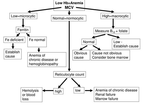 Ppt Macrocytic Anemia B12 And Folate Powerpoint Presentation Free Download Id 396268