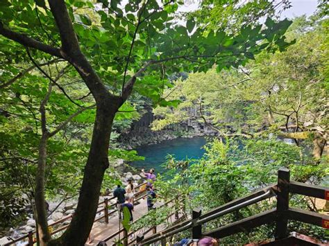 Jeju: Highlights Bus Tour | GetYourGuide