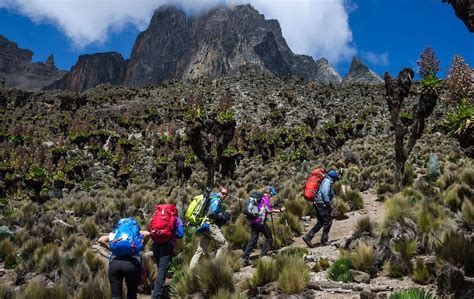 Mount Kenya National Park