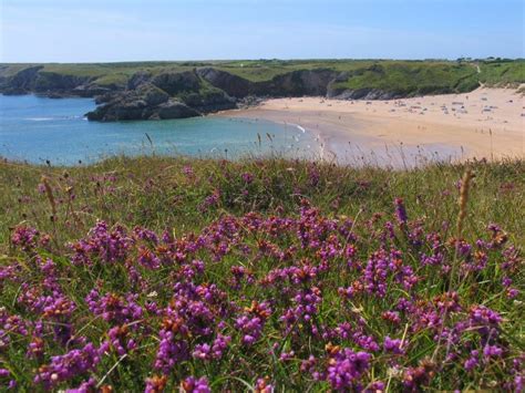 Broad Haven South Beach Photo Broadhaven South British Beaches