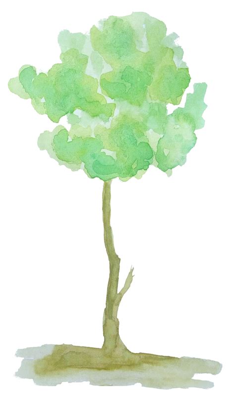 Watercolor Tree Watercolor Nature 10792312 Png