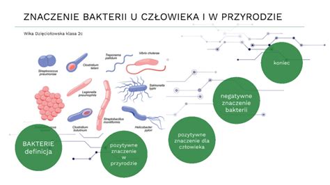 ZNACZENIE BAKTERII U CZŁOWIEKA I W PRZYRODZIE by Wika Dz on Prezi