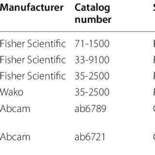 Antibodies for Western blotting analysis | Download Scientific Diagram