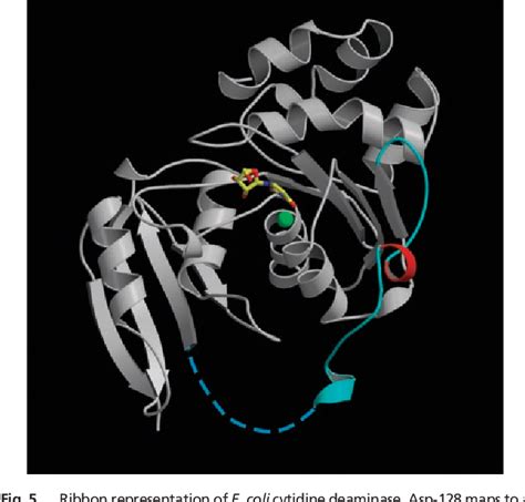 Figure From A Single Amino Acid Of Apobec G Controls Its Species