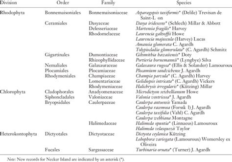 Macroalgal Species Identified From Rea Surveys Download Table