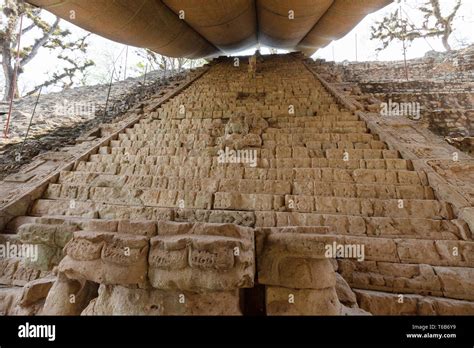 Ruinas Mayas La Escalera Jerogl Fica Maya En El Sitio Del Patrimonio