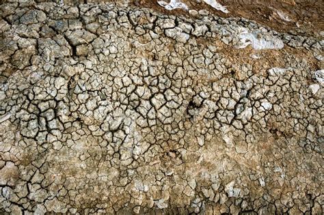 Dry Soil Surface With Deep Cracks Textured Background Dried And