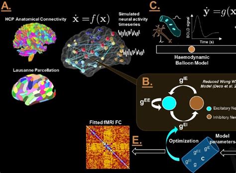 Deep Learning Based Parameter Estimation For Neurophysiological Models