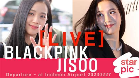 Blackpink Brasil Fan Account On Twitter Live De Jornalistas No