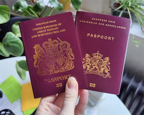 Dutch Passport Buy Real Passportsid Cards Drivers License And Visas Global Document