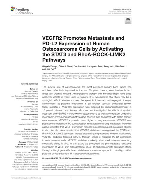 Pdf Vegfr2 Promotes Metastasis And Pd L2 Expression Of Human