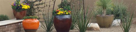 October In Your Potted Desert Garden The Potted Desert