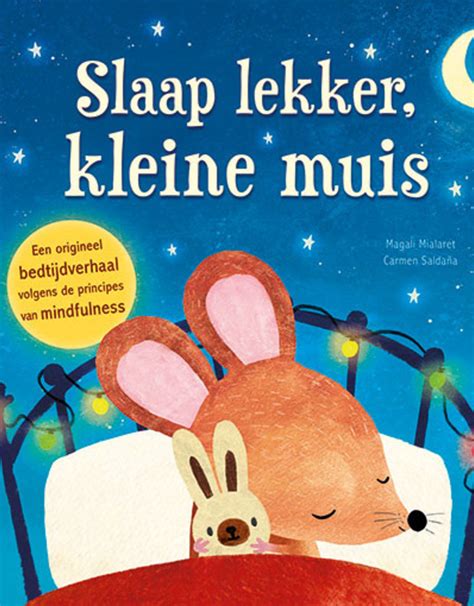 Slaap Lekker Kleine Muis T Holtschöpke