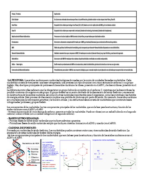 Tema Bmc Extraccion Acidos Nucleicos Pdf