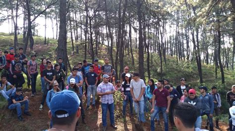 Casas Del Estudiante En Uruapan Reforestan El Cerro De La Charanda