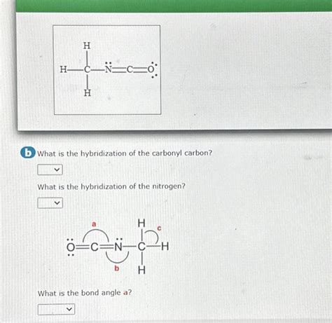 Solved What is the hybridization of the carbonyl carbon? | Chegg.com