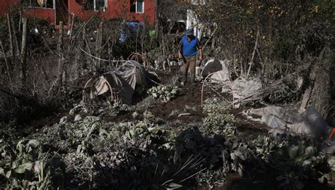 Ministerio De Agricultura Declara Emergencia Agr Cola En Comunas De