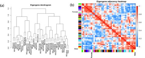 Results Of Wgcna Analysis A Hierarchical Clustering Of Eigengene