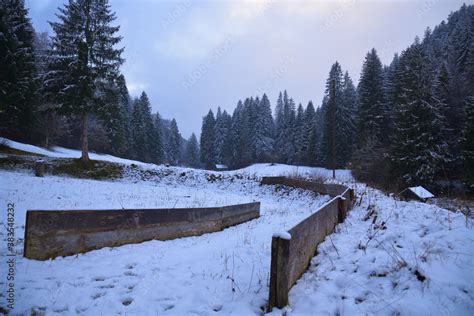 Foto De An Der Alten Olympia Bobbahn Am Rie Ersee In Garmisch