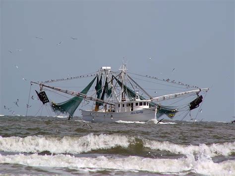 Shrimping Off St Catherine S Island Georgia Coast