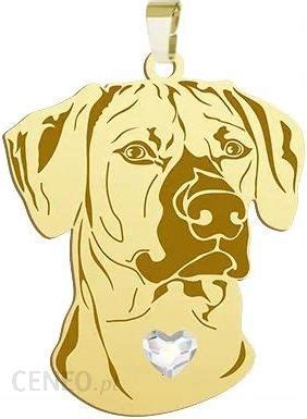 Mejk Jewellery Pozłacana Zawieszka Z Psem Rhodesian Ridgeback Ceny i