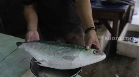 Penjualan Ikan Bandeng Jelang Imlek Di Kawasan Petak Sembilan