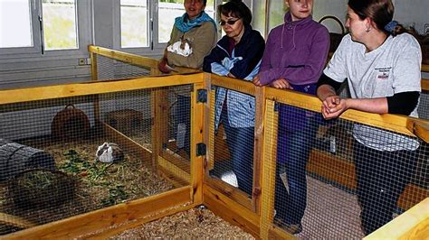 Tierheim Hat Neue Kleintierstation