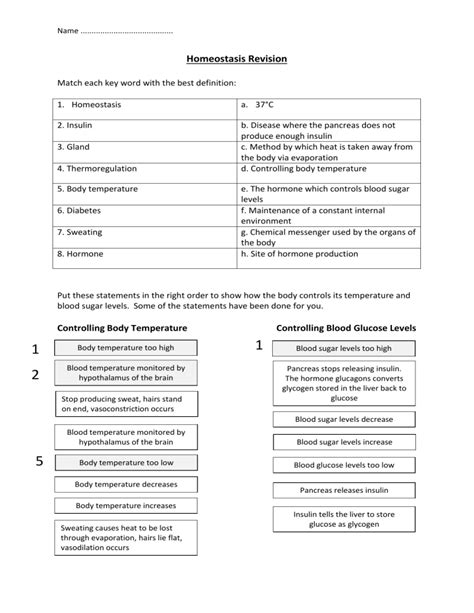 Homeostasis Revision worksheet