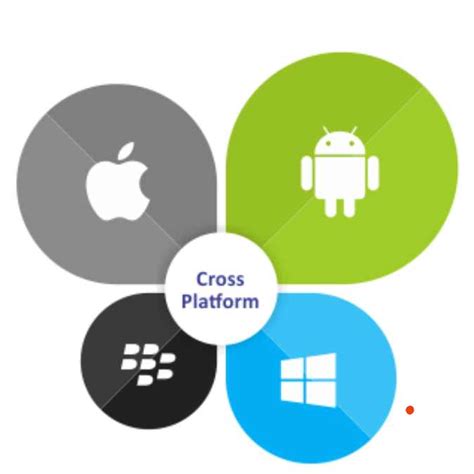 CROSS PLATFORM APPLICATION DEVELOPMENT