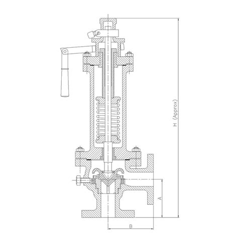 Sant Valves Cast Iron Single Post High Lift Safety Valve