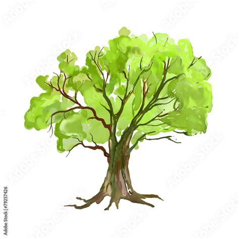 Tree Vector Illustration Hand Drawn Painted Watercolor Stockfotos Und