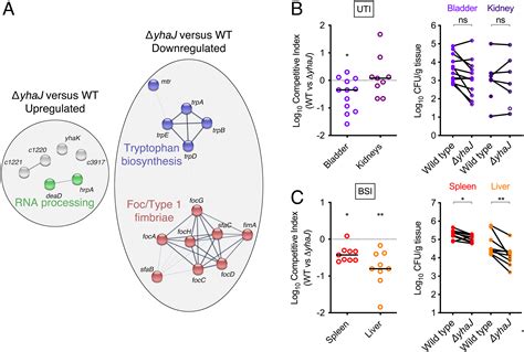 Distinct Ecological Fitness Factors Coordinated By A Conserved