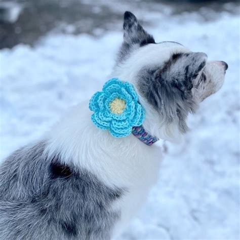 Crochet Dog Collar Etsy