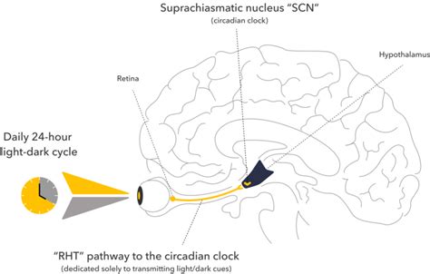 What Are The Most Common Jet Lag Symptoms