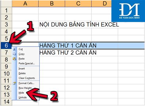 C Ch N V Hi N C C D Ng C T Trong Excel V C Ng N Gi N