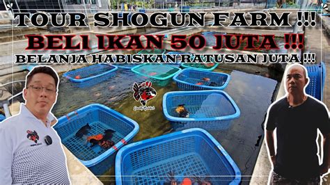 BELANJA HABISKAN RATUSAN JUTA TOUR SHOGUN FARM BELI IKAN 50