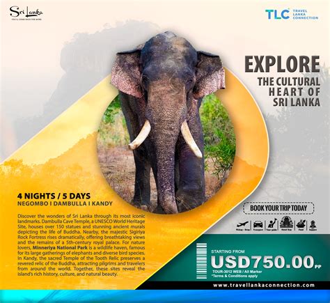 Travel - 𝗘𝘅𝗽𝗹𝗼𝗿𝗲 𝘁𝗵𝗲 𝗖𝘂𝗹𝘁𝘂𝗿𝗮𝗹 𝗛𝗲𝗮𝗿𝘁 𝗼𝗳 𝗦𝗿𝗶 𝗟𝗮𝗻𝗸𝗮💖😍🎯🍃🐘 4 Nights / 5 Days