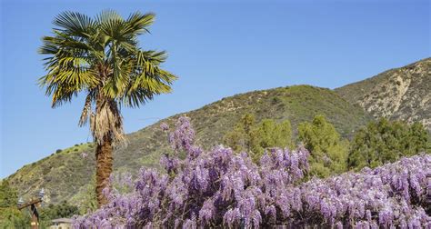 Discover the Charm of Sierra Madre, California