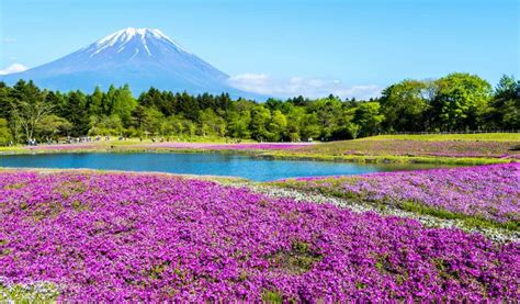 Yamanashi Area Guide | Japan Cheapo