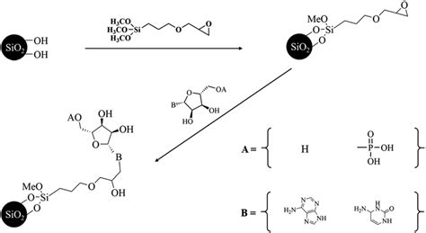 Scheme For The Preparation Of Nucleoside Or Nucleotide Based Stationary Download Scientific