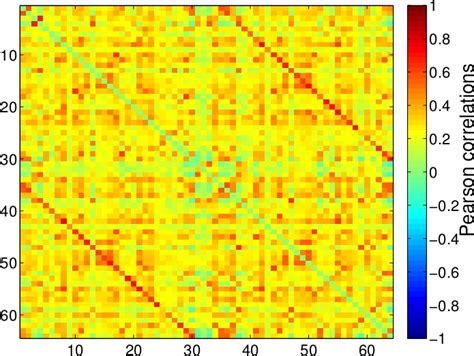 Left Functional Connectivity Matrix Constructed By Calculating Download Scientific Diagram