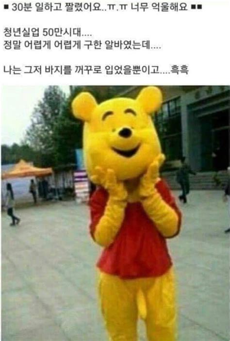 인형탈 알바 짤림 유머움짤이슈 에펨코리아