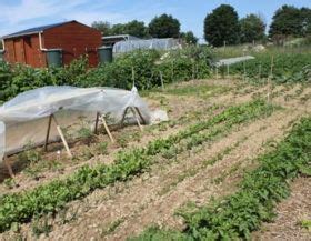 Les Biaux Jardins