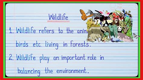 10 Lines On Wildlife Essay On Wildlife Essay On Wildlife Conservation