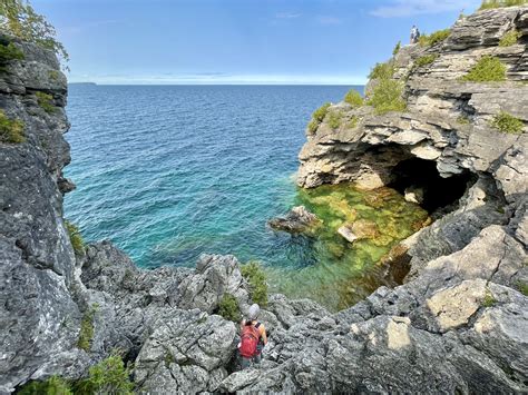 Bruce Peninsula National Park Wildlife