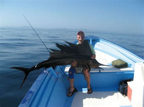 10 best Fishing Loreto, Baja Mexico images on Pinterest | Loreto ...