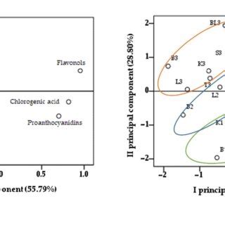 Principal Component Analysis Loading A And Score B Plots Of