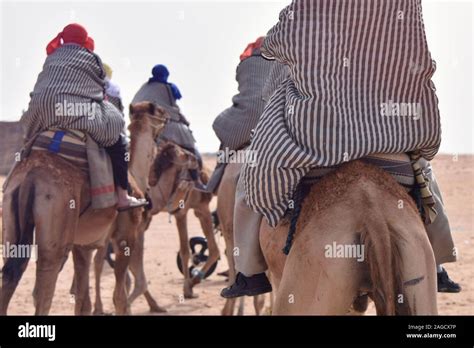 Caravane De Chameaux Dans Le Désert Du Sahara En Tunisie Lafrique