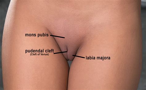 Mons Pubis Indian Tumblr