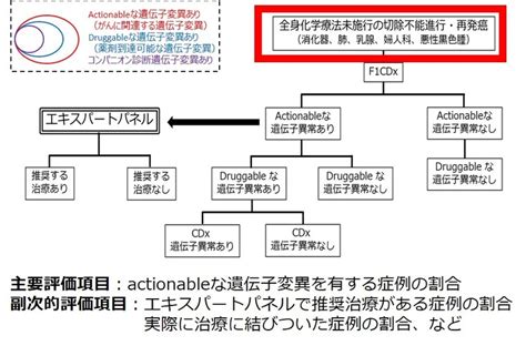 一次治療（標準治療）開始前のがん遺伝子パネルに関する先進医療bについて ｜2023年｜ニュース｜京都大学医学部附属病院